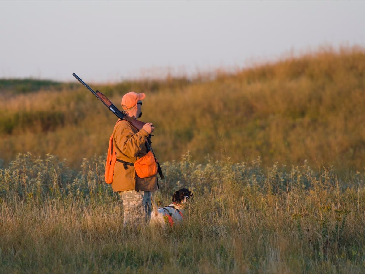 Hunter with dog in the field